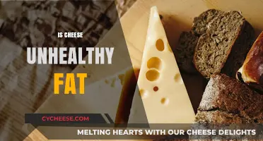 Is Cheese Unhealthy Fat? Debunking Myths and Facts About Dairy