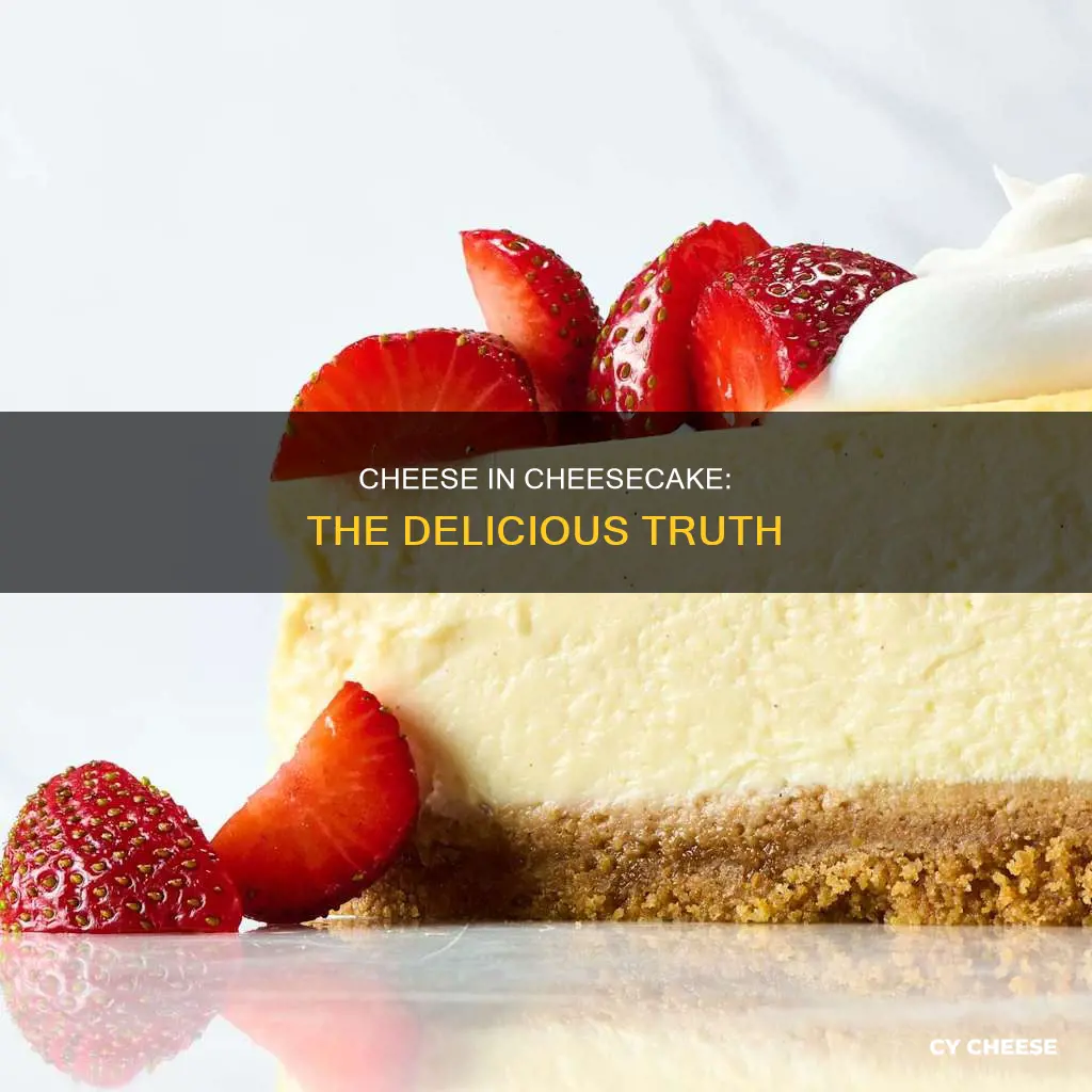 is cheese used in cheesecake