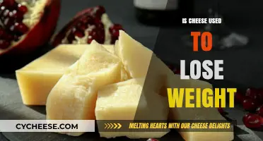 Cheese for Weight Loss: Is It Possible?