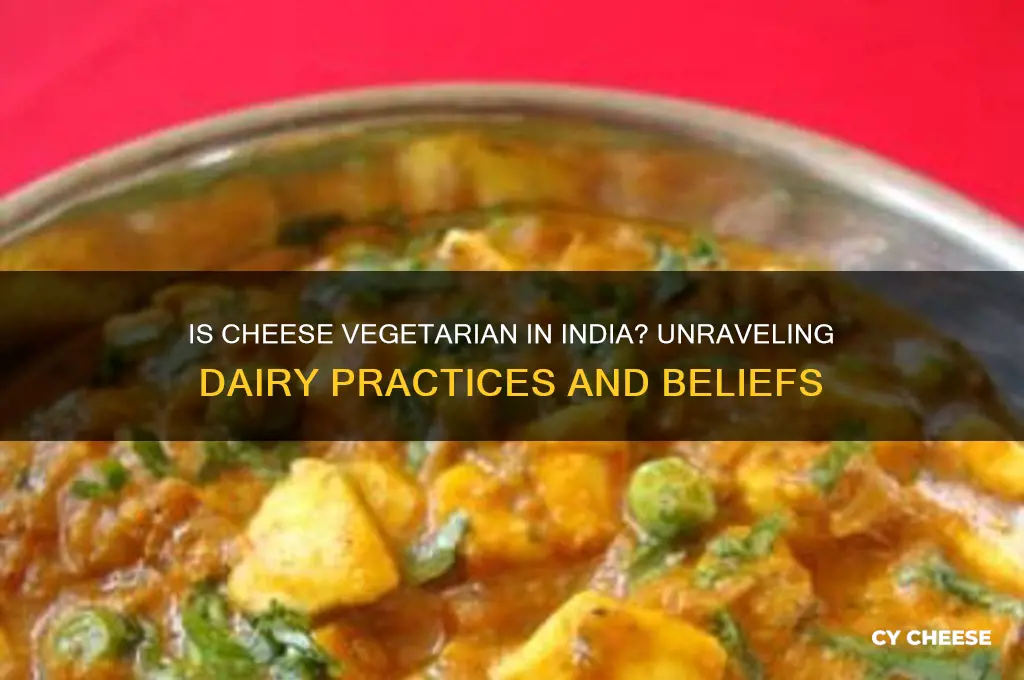 is cheese vegetarian in india