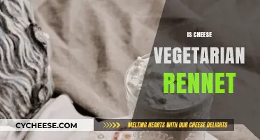 Is Cheese Vegetarian? Understanding Rennet and Its Role in Cheese