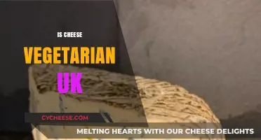 Is Cheese Vegetarian in the UK? Unraveling Dairy Dietary Dilemmas