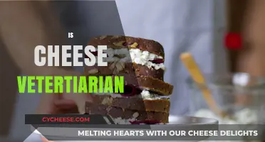 Is Cheese Vegetarian? Unraveling Dairy's Dietary Dilemma for Veggie Lovers