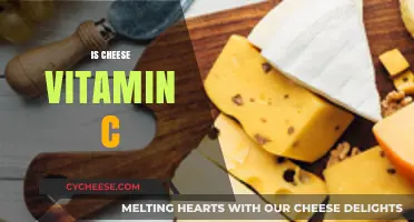 Cheese and Vitamin C: Unraveling the Nutritional Truth Behind the Myth