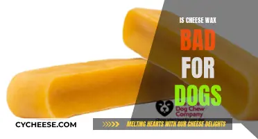 Cheese Wax: A Dog Owner's Concern?