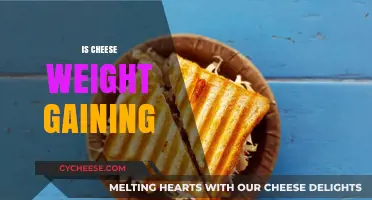 Is Cheese Causing Weight Gain? Unraveling the Dairy Dilemma