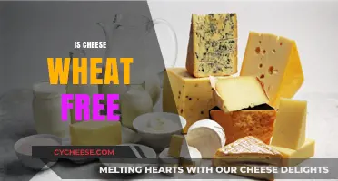 Cheese and Wheat: Friends or Foes?