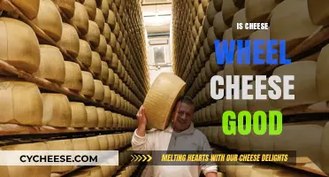Cheese Wheel: Is It Worth the Hype?