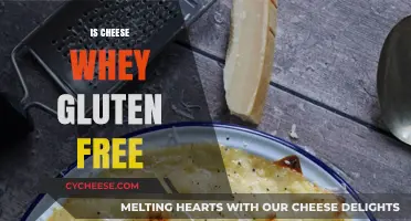 Cheese Whey: Gluten-Free Superfood?