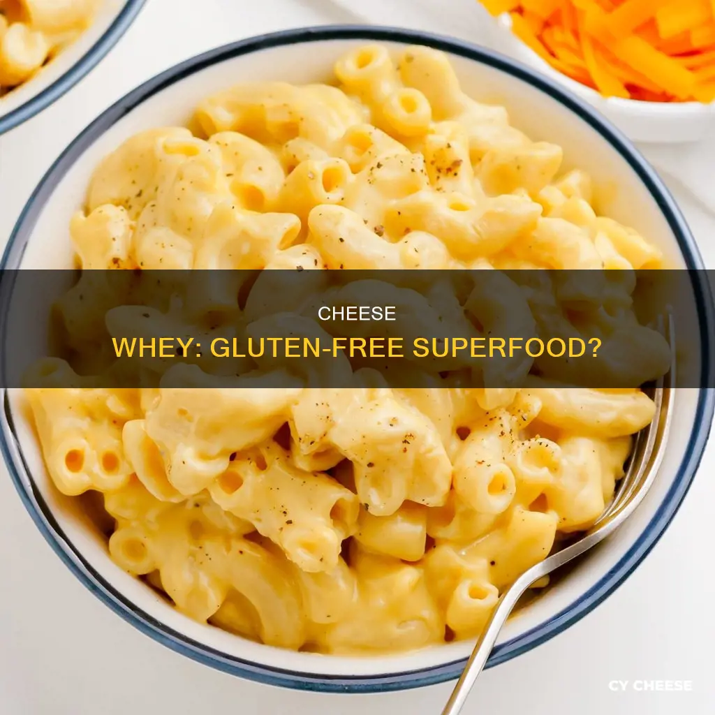 is cheese whey gluten free