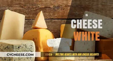 Is Cheese White? Exploring the Colorful World of Cheese Varieties