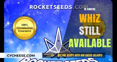 Is Cheese Whiz Still Available? Exploring the Iconic Spread's Current Status