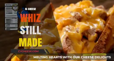 The Enduring Mystery: Is Cheese Whiz Still Made?