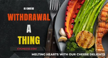 Cheese Withdrawal: Myth or Reality? Exploring the Dairy Detox Dilemma