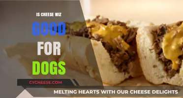 Cheese Wiz: A Healthy Dog Treat?