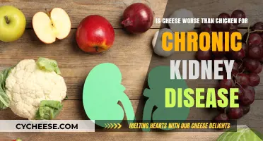 Cheese vs. Chicken: Which is Worse for Chronic Kidney Disease?
