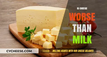 Cheese vs. Milk: Which Dairy Product Impacts Health More?