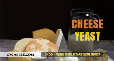 Is Cheese Made with Yeast? Unraveling the Dairy Mystery