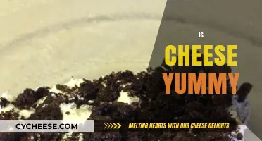 Is Cheese Yummy? Exploring the Irresistible Appeal of This Dairy Delight