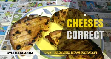 Is Cheeses Correct? Unraveling the Plural Form of Cheese