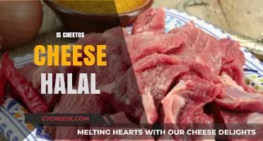 Is Cheetos Cheese Halal? Exploring Ingredients and Certification