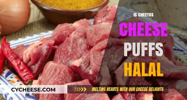 Are Cheetos Cheese Puffs Halal? Exploring Ingredients and Certification