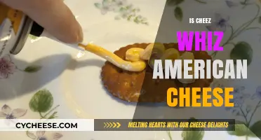 Is Cheez Whiz American Cheese? Unraveling the Cheesy Mystery