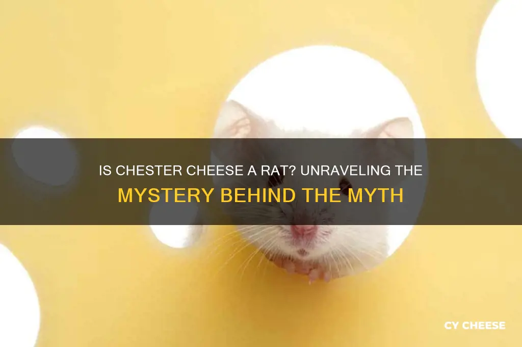 is chester cheese a rat