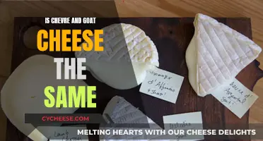 Unraveling the Mystery: Is Chevre and Goat Cheese One and the Same?