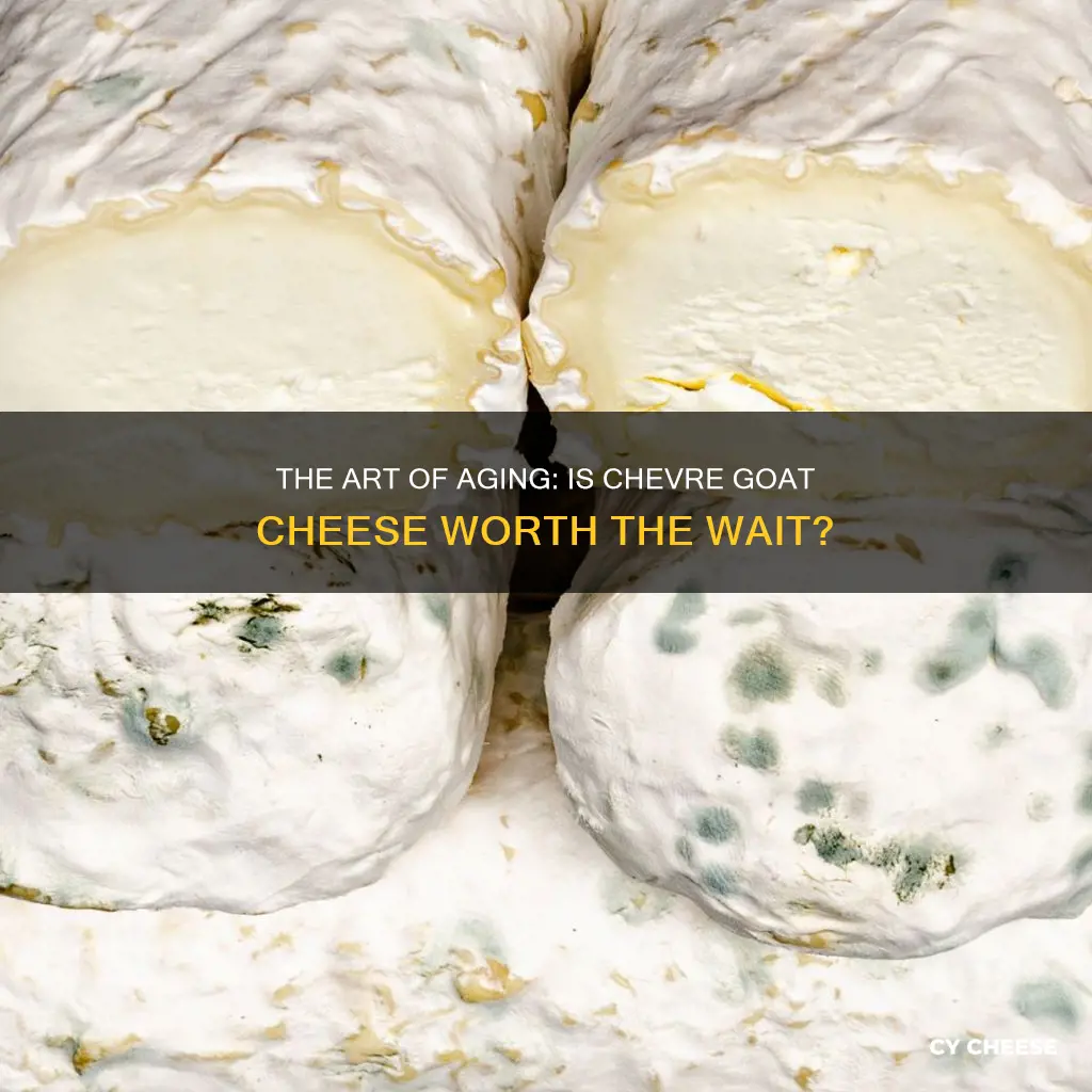 is chevre goat cheese aged