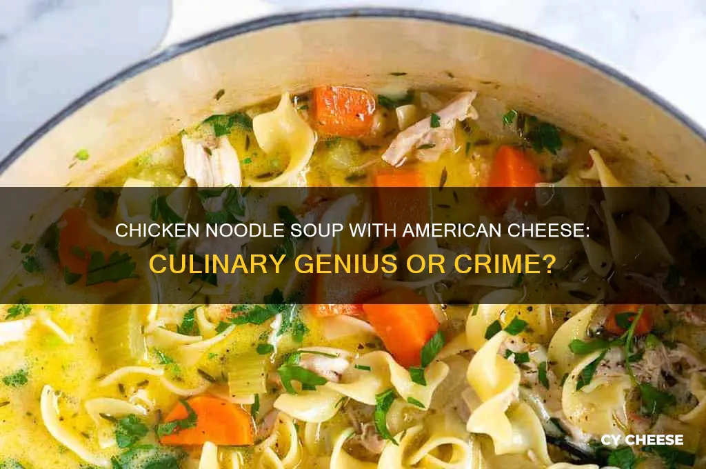 is chicken noodle soup god with american cheese