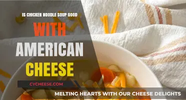 Chicken Noodle Soup: American Cheese's Best Friend?