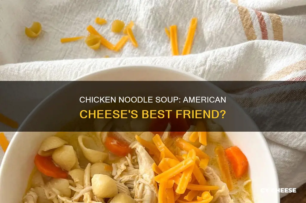 is chicken noodle soup good with american cheese