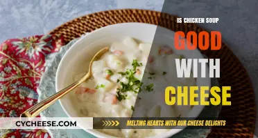 Chicken Soup and Cheese: A Match Made in Heaven?