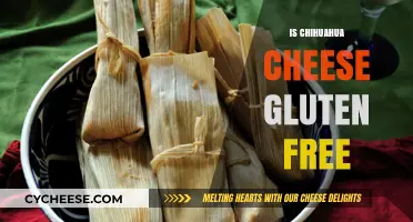 Gluten-Free Chihuahua Cheese: What You Need to Know