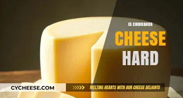 Is Chihuahua Cheese Hard? Texture, Uses, and Melting Tips Explained
