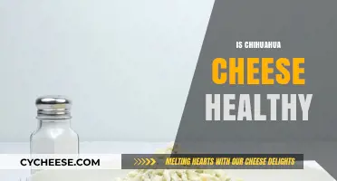 Chihuahua Cheese: Healthy or Harmful?