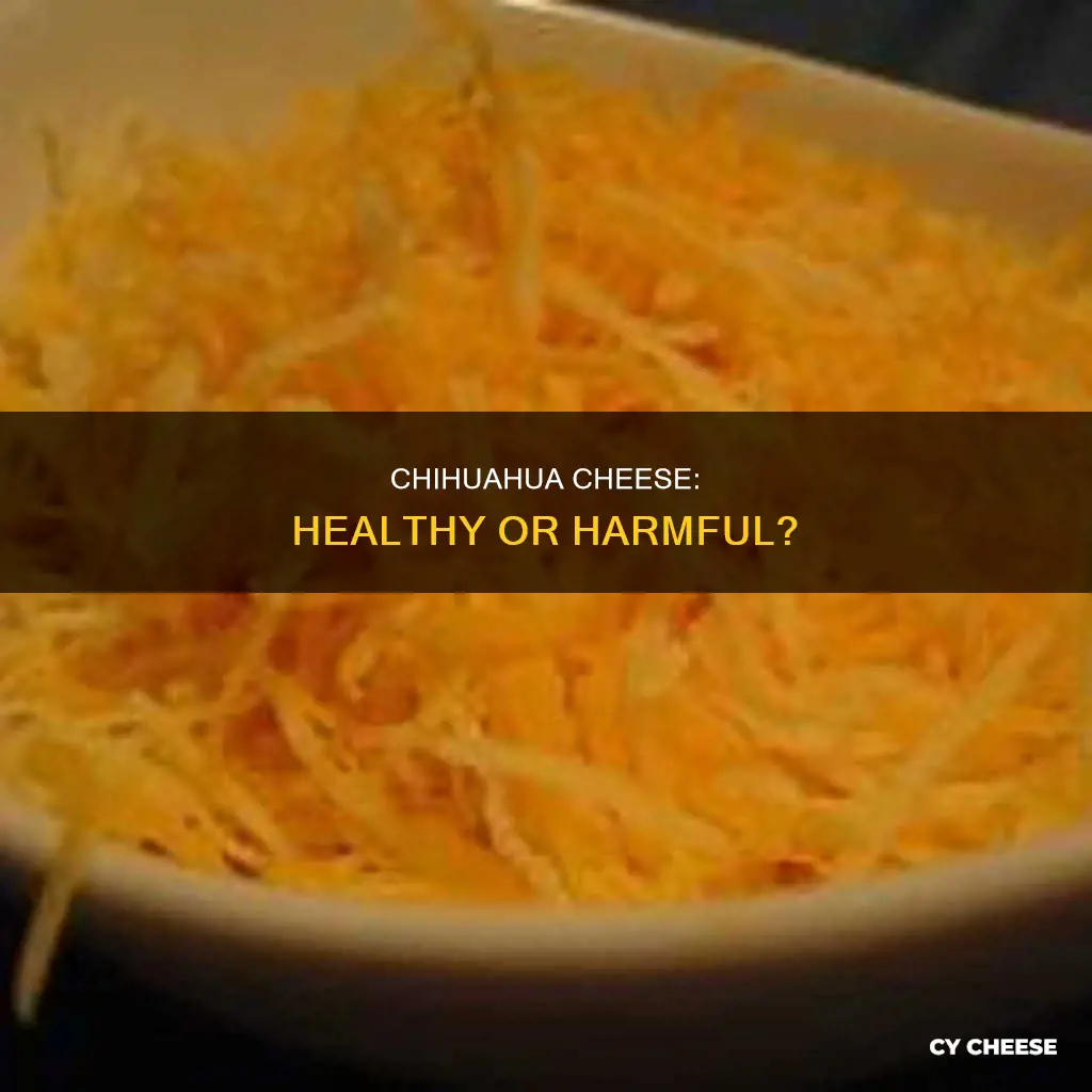 is chihuahua cheese healthy