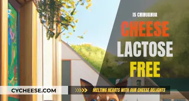 Chihuahua Cheese: Lactose-Free Superfood?