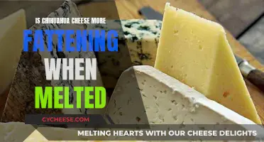 Cheese Conundrum: Does Melting Make Chihuahua Cheese Fattening?