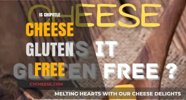 Gluten-Free Chipotle Cheese: What You Need to Know