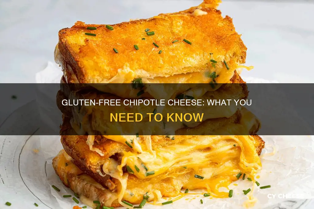 is chipotle cheese gluten free