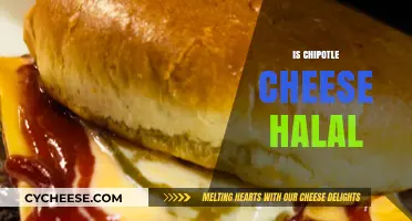 Is Chipotle Cheese Halal? Exploring Ingredients and Religious Compliance