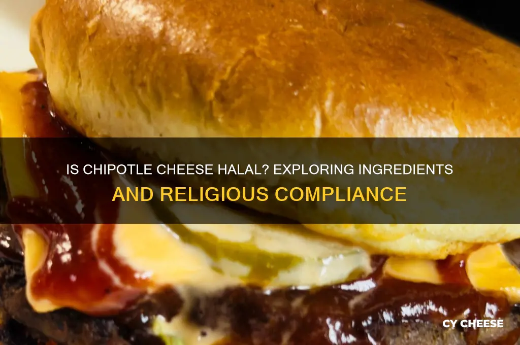 is chipotle cheese halal