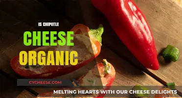 Is Chipotle Cheese Organic? Unveiling the Truth Behind the Label