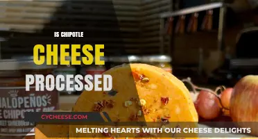 Is Chipotle Cheese Processed? Uncovering the Truth Behind the Flavor