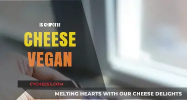 Is Chipotle Cheese Vegan? Unraveling the Ingredients and Ethical Concerns
