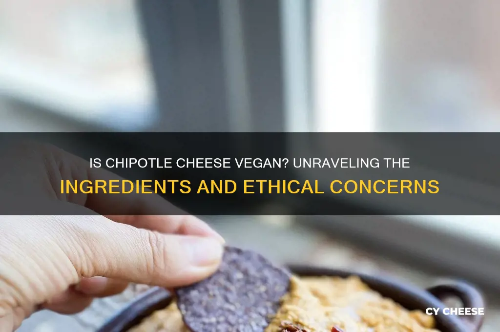 is chipotle cheese vegan