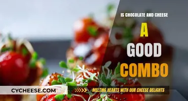 Chocolate and Cheese: A Match Made in Heaven?