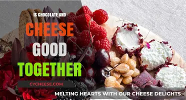 Chocolate and Cheese: A Match Made in Heaven?